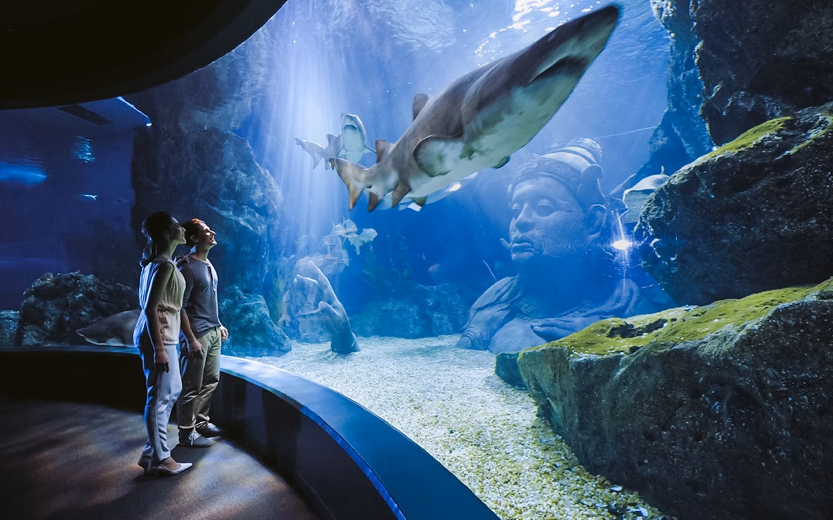 Sea Life Bangkok